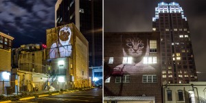 Thsi Artist Projects A Digital Street Art Safari Across Orlando Architecture