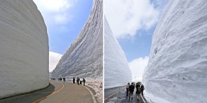 Gigantic Snow Wall Along Tateyama Kurobe Alpine Route, Japan