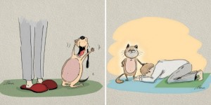 What Makes Cats Different From Dogs