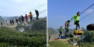 A Daredevil Aerial Walkway Over A Tea Park In China