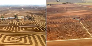 Australian Farmer Fights Erosion With A Patchwork Of Geometric Designs