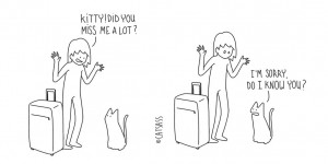 What Your Cat Really Thinks?
