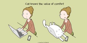 21 Absolute Benefits Of Having A Cat