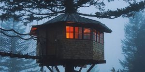 Man Quits Lucrative NYC Job, Builds Treehouse Of His Childhood Dreams