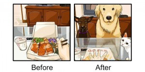 What Life Is Like Before And After You Get A Dog