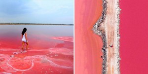 This Bright Pink Bubble-Gum Lake Can Perk Up Your Diet