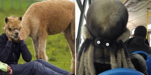 17 Seriously Intriguing Photographs That Will Trick Your Eyes