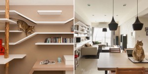The Custom Shelving In This Home Keeps The Cat Happy
