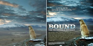 This Photoshop Wizard Is Turning Random People’s Photos Into Movie Posters