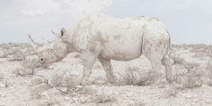 Sony World Photography Awards 2016 Final Shortlist, Part 2