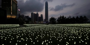 25,000 White Roses Made Of LED Lights For Valentine's Day