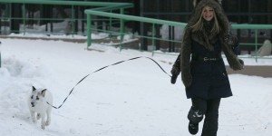 Spring And A Girl: Cute Friendship Between A Snow Fox And A Human