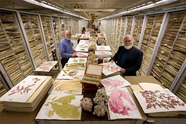 Rare Behind-The-Scenes Look At The Vast Collection Of The Smithsonian’s ...