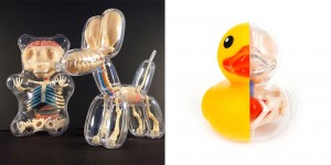 Anatomical Balloon Dog And Rubber Ducky Models By Jason Freeny