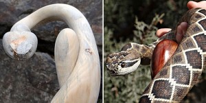 Hyperrealistic Snake Canes Look Like They're About To Bite You