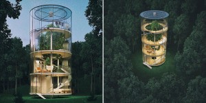 Remarkable Tubular Glass House Built Around Tree