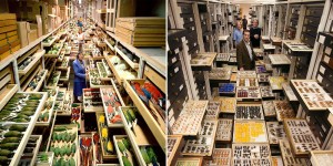 Rare Behind-The-Scenes Look At The Vast Collection Of The Smithsonian's National Museum Of Natural History