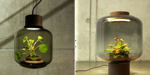 These Lamps Were Designed To Grow Plants In Windowless Spaces