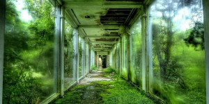 Photographer Jonny Joo Captures Eerie Images Of Abandoned Buildings