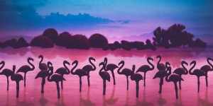 This Photographer Has Dreamed Of Going On Safari And Found A Way To Channel Her Dream In A Seriously Creative Way
