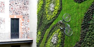 A Bike Was Added To This Huge Green Wall For A Bit Of Whimsical Fun