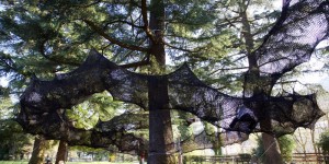 This Tube-Like Netted Structure Lets You Climb Through The Trees