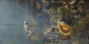 Ancient Traditional Honey Hunters Of Nepal