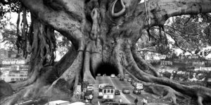 Surreal Black And White Analog Photo-Montages By Thomas Barbèy