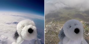 English School Sends Stuffed Animal Sam The Dog Into The Stratosphere