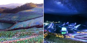 An Artist Has Created A Giant Mosaic Made From Recycled Plastic Bottles Depicting Vincent Van Gogh’s Famous Painting 'The Starry Night'