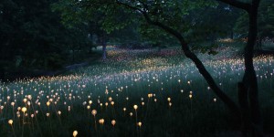 Field Of Light: Bruce Munro Creates Fantastic Lighting Installations Across The Urban Landscapes