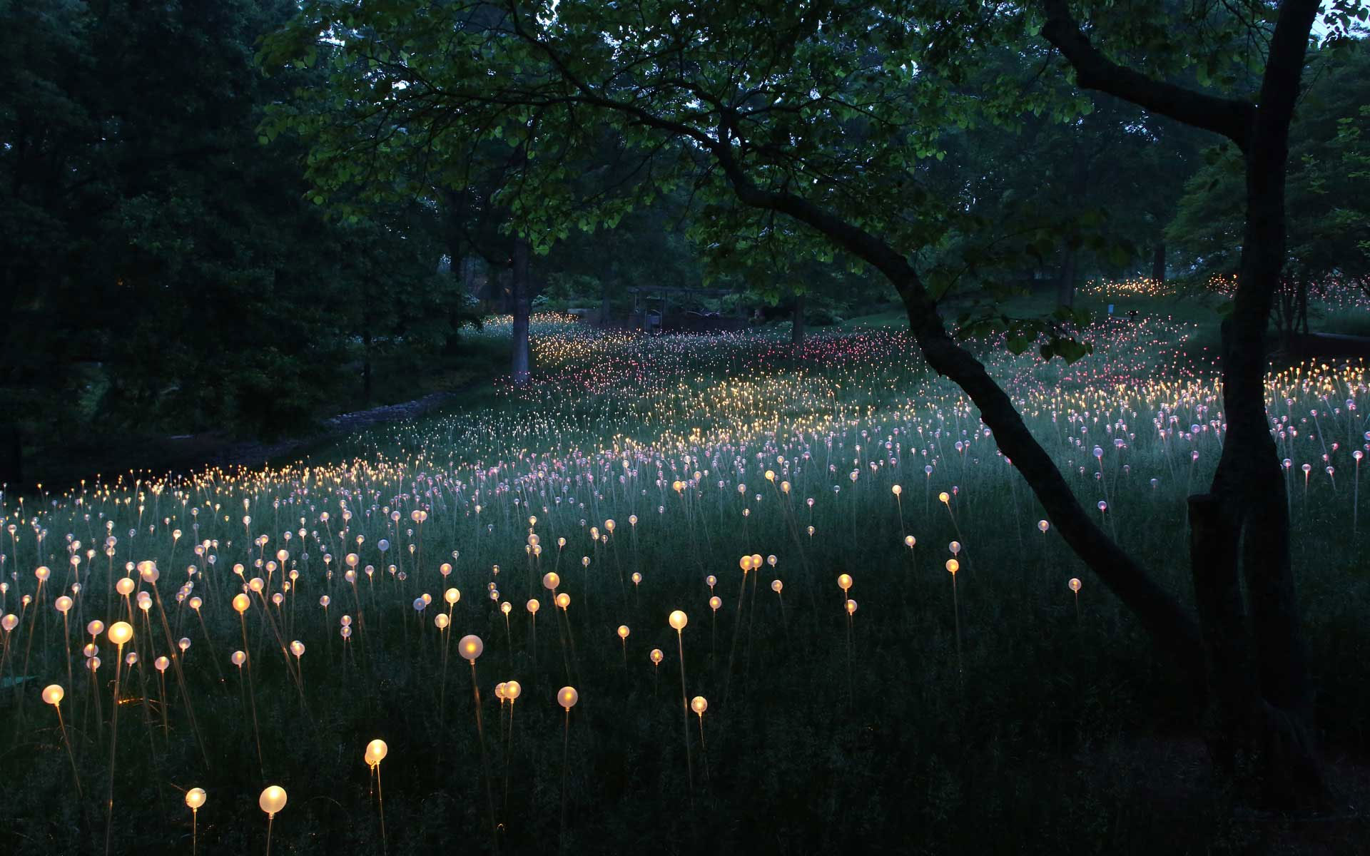 “Field Of Light” Bruce Munro Creates Fantastic Lighting Installations