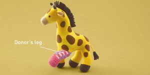 Old Toys Receive Donated Limbs To Educate Kids About Organ Transplants