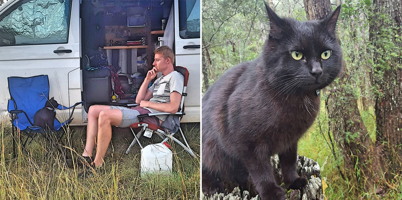 Man Quits Job, Sells Everything To Travel With His Rescue Cat Across