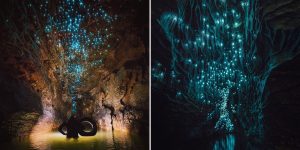 Glow Worms Turn This New Zealand Cave Into Starry Night