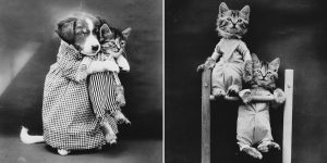 In 1914, Baby Animal Photography Made For Exhausting Work