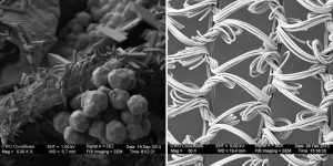 Everyday Things That Look Totally Different Under A Microscope