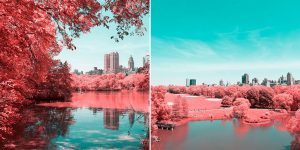 Paolo Pettigiani Sees New York City's Central Park In Pink And Blue