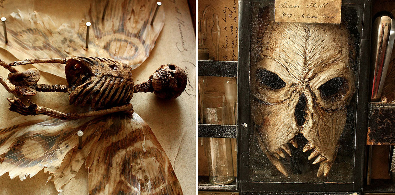 Bodies Of Strange Creatures Were Found In The Basement Of An Old House In  London » Design You Trust