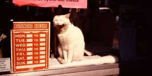New York Over 35 Years Ago – 55 Color Snapshots Show The Most Populous City In The United States In 1980