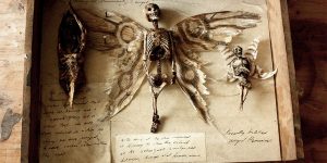 Bodies Of Strange Creatures Were Found In The Basement Of An Old House In London