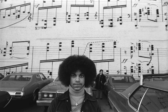 Prince 1977 7