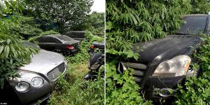 Inside China's Trash Park Where Bentleys And Mercedes Worths Millions Are Abandoned By Their Rich Owners