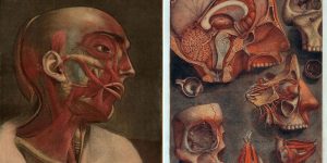Disturbingly Beautiful (Almost Dirty) Images Of Human Anatomy From The 1700s (NSFW)