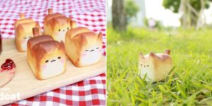 An Adorable Line of Miniature ‘Bread Cat’ Shaped Resin Toys That Look Good Enough to Eat