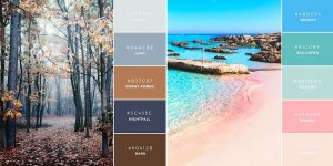 Unique And Memorable Color Palettes To Inspire You