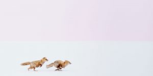 National Geographic Travel Photographer Of The Year 2016 Winners