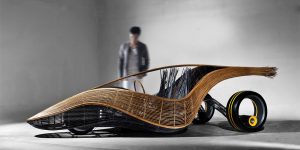 Phoenix Vehicle Made From Bamboo Cane Is The New Green Car