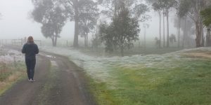 What Australia Looks Like In The Winter