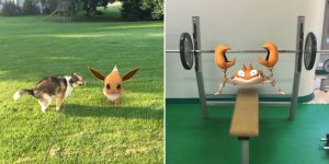 The Best Photography Of Pokémon Go